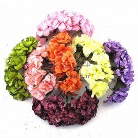 گل اکلیلی کاغذی