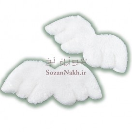 بال فرشته پولیشی