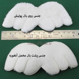 بال فرشته پولیشی