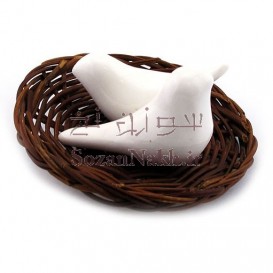پرنده  پرنده