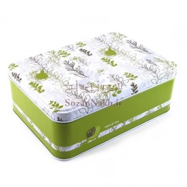 جعبه فلزی مستطیل درب لولایی برگ سبز _ کد 606