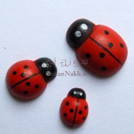 کفشدوزک چوبی