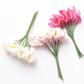 گل شیپوری فومی