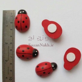 کفشدوزک چسب دار