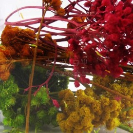 گل خشک رنگ شده مخصوص رزین _ کد 1 (گل چتری)