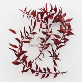 برگ خشک رنگ شده