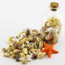 پکیج گوش ماهی کوچک