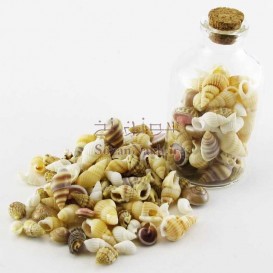 پکیج گوش ماهی کوچک