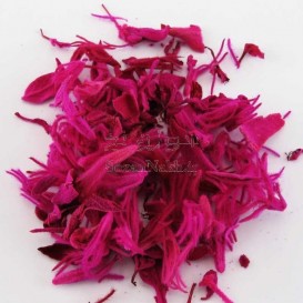 گل و برگ رنگ شده