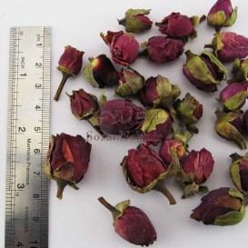 غنچه گل سرخ (رز) کوچک خشک