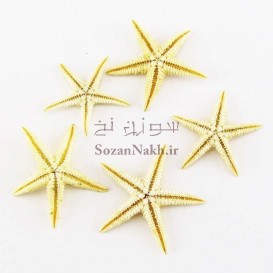 ستاره دریایی طبیعی مینیاتوری