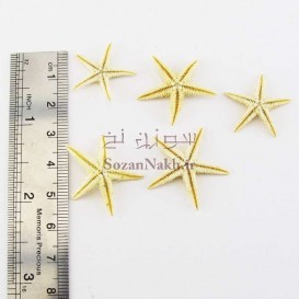 ستاره دریایی طبیعی مینیاتوری