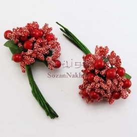 پرچم گل گیلاسی