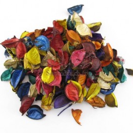 گل خشک رنگارنگ