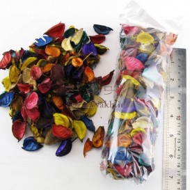 گل خشک رنگارنگ