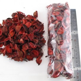 گل خشک قرمز