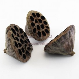 گل نیلوفر خشک بدون ساقه