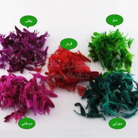 گل و برگ رنگ شده