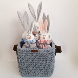 پکیج خرگوش دلفی