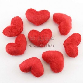 قلب پولیشی کوچک