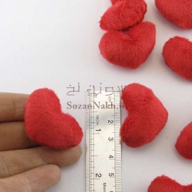 قلب پولیشی کوچک