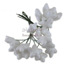 ستاره اکلیلی