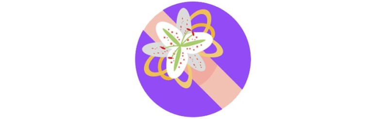 گل سر _ تل _ گیره و کلیپس